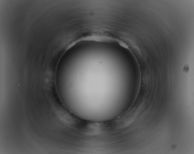 X0000102490079200808081339