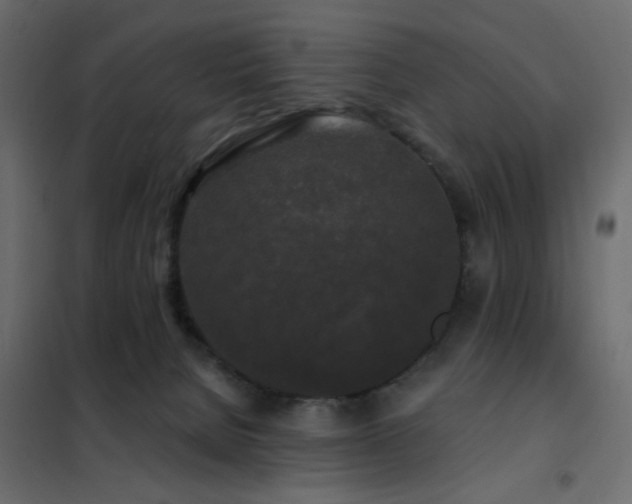 X0000102490080200808081339