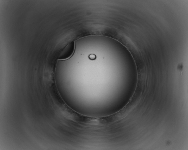 X0000102490083200808081339