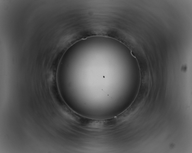 X0000102490084200808081339