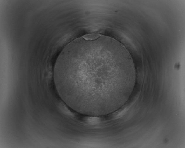 X0000102490085200808081339