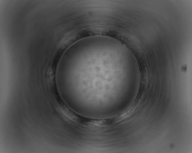 X0000102490086200808081339