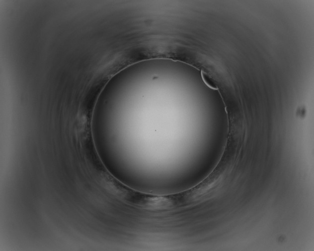 X0000102490087200808081339