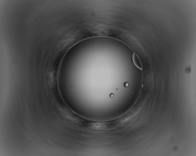 X0000102490088200808081339