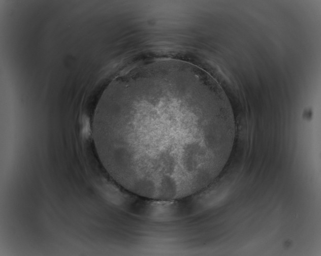 X0000102490089200808081339