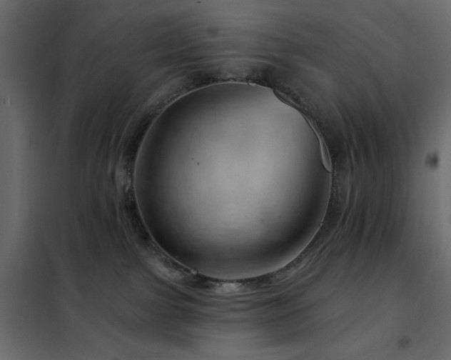 X0000102490091200808081339