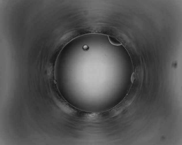 X0000102490092200808081339