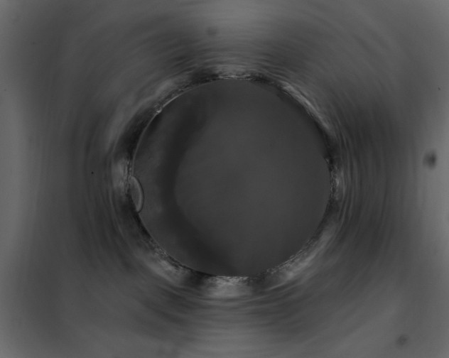 X0000102490093200808081339