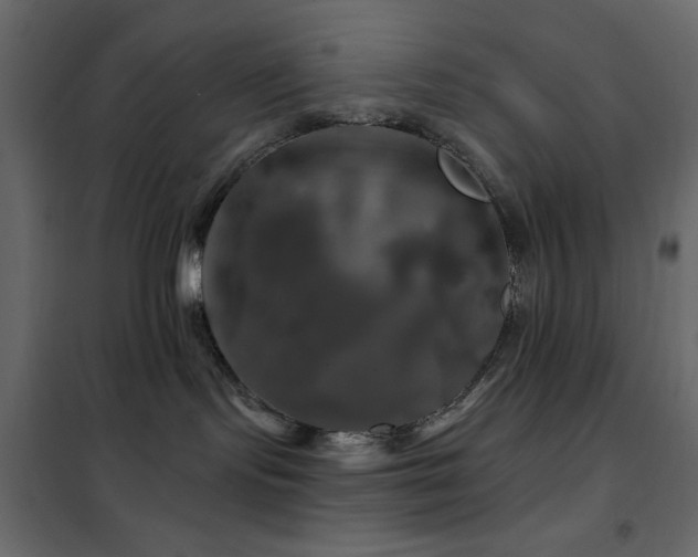 X0000102490095200808081339