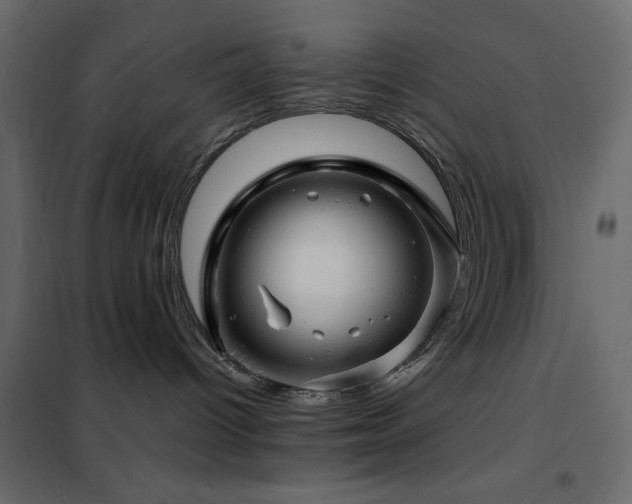 X0000102490096200808081339