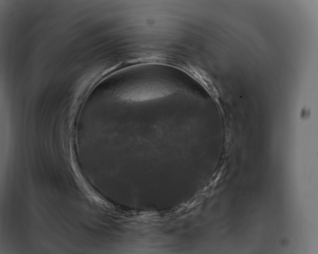 X0000102490097200808081338