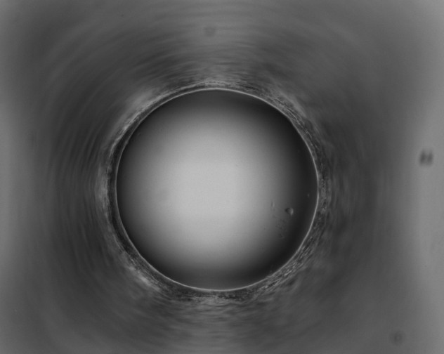 X0000102490098200808081338