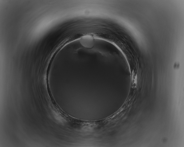 X0000102490099200808081338