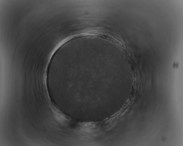 X0000102490100200808081338