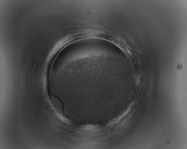 X0000102490101200808081338