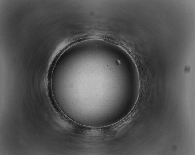 X0000102490102200808081338