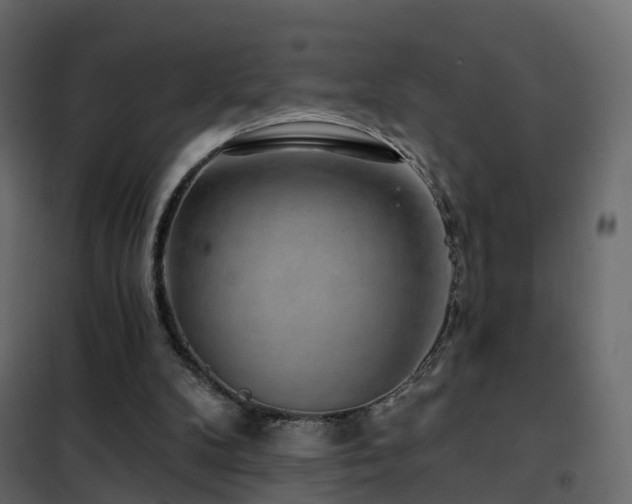 X0000102490104200808081338
