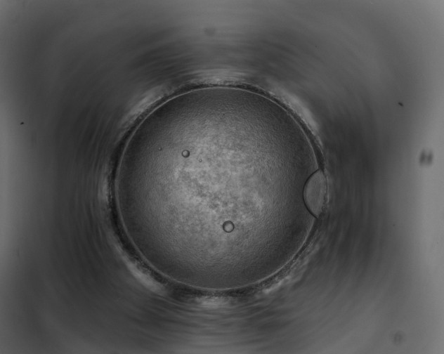 X0000102490105200808081338