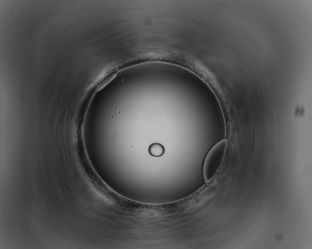 X0000102490106200808081338