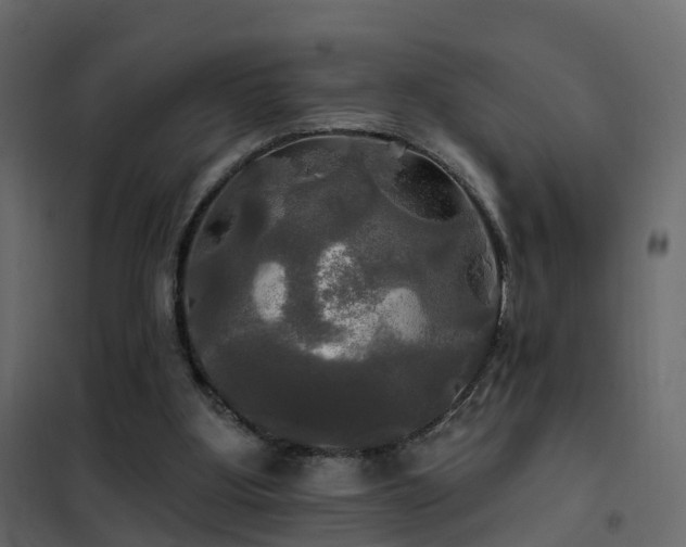 X0000102490107200808081338