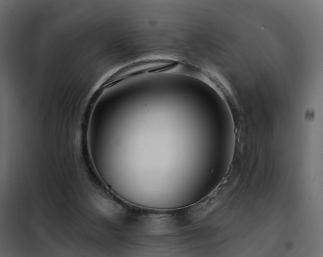 X0000102490108200808081338