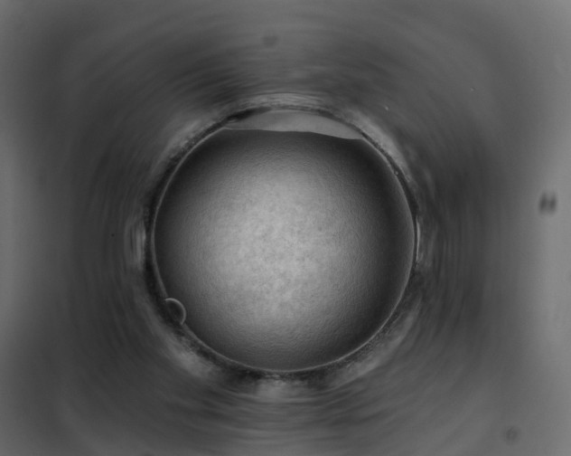 X0000102490109200808081338