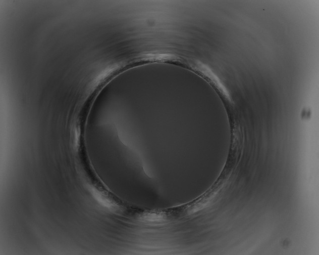 X0000102490110200808081338