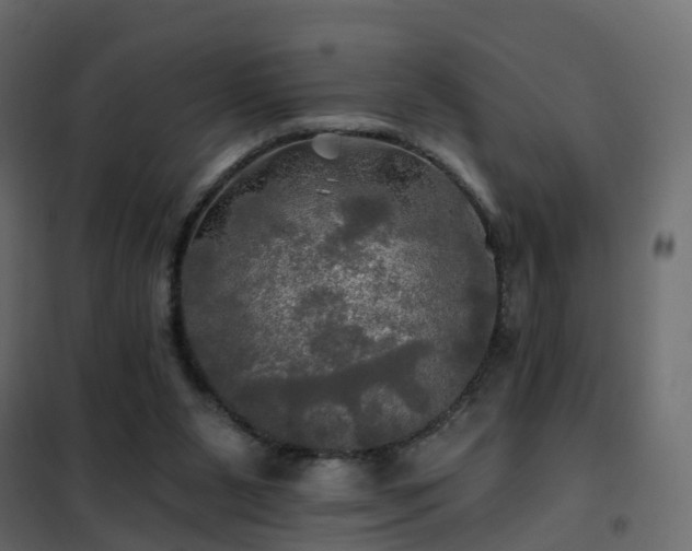 X0000102490111200808081338