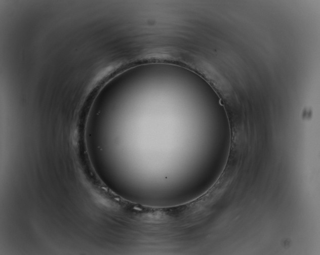 X0000102490112200808081338