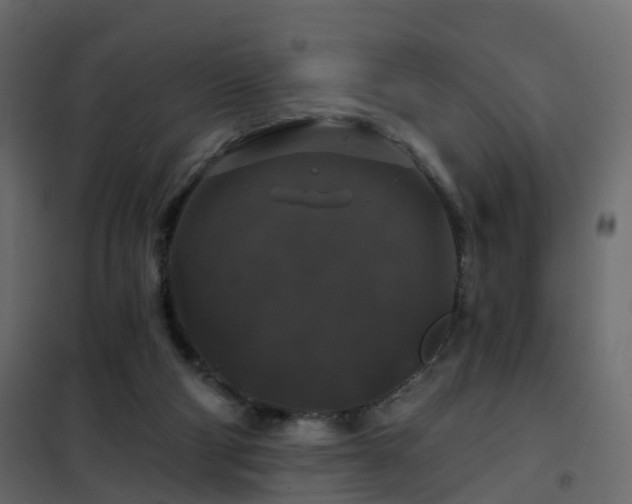 X0000102490114200808081338