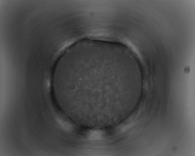 X0000102490115200808081338