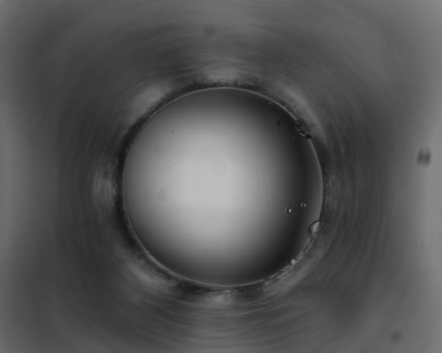 X0000102490116200808081338