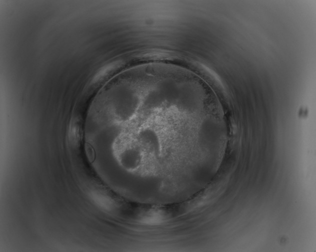 X0000102490119200808081338