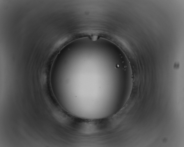 X0000102490120200808081338
