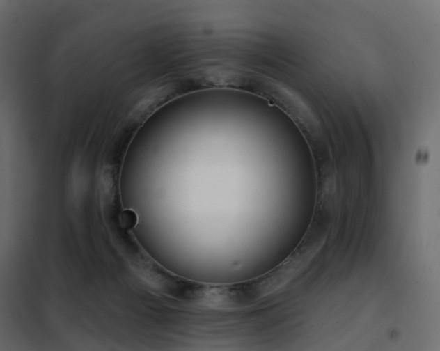 X0000102490121200808081338