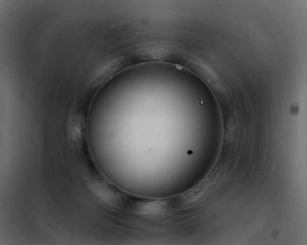 X0000102490122200808081338