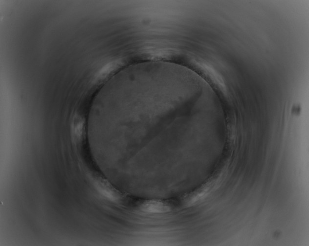 X0000102490123200808081338