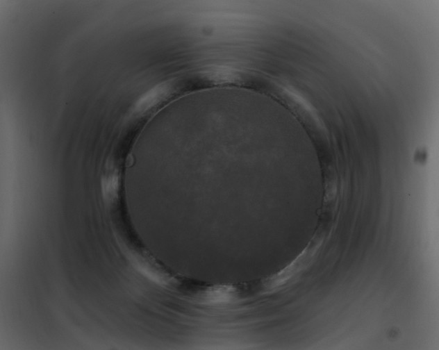 X0000102490124200808081338