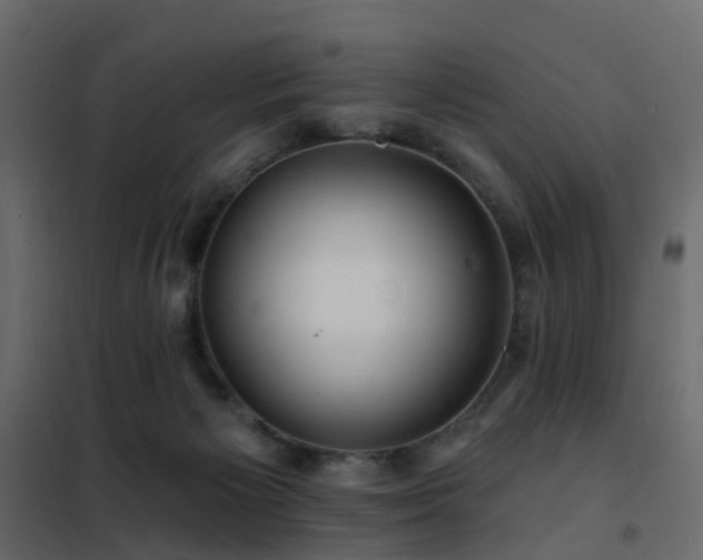 X0000102490125200808081338