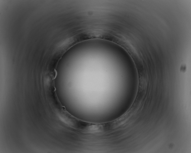 X0000102490126200808081338