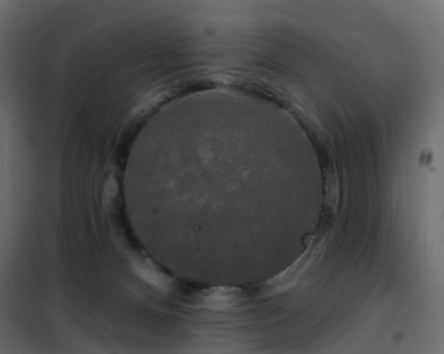 X0000102490128200808081338