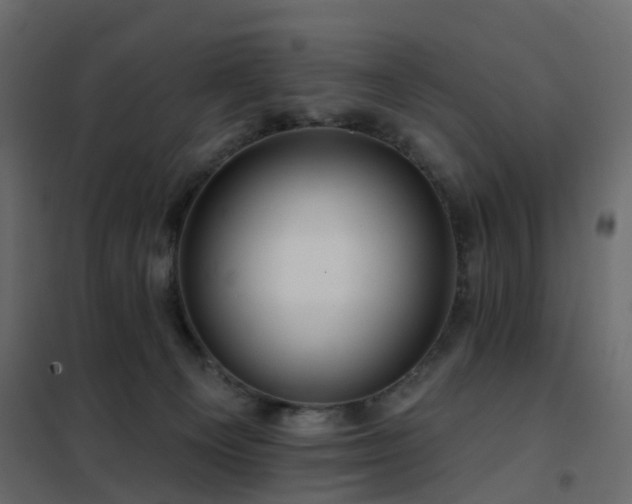 X0000102490129200808081338