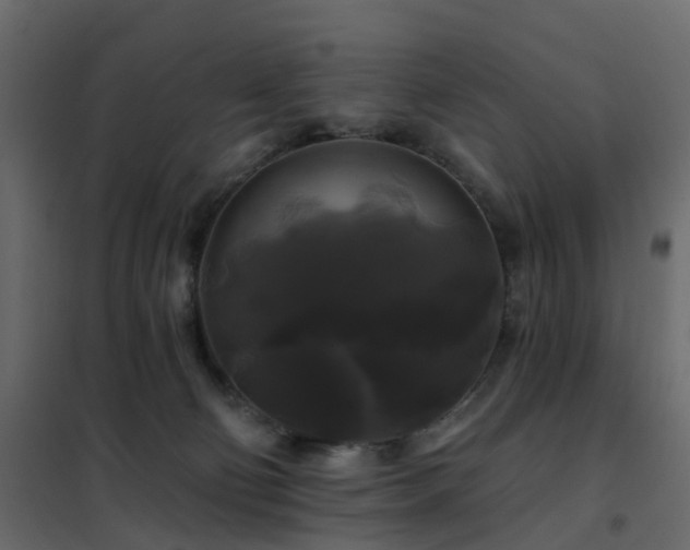 X0000102490130200808081338