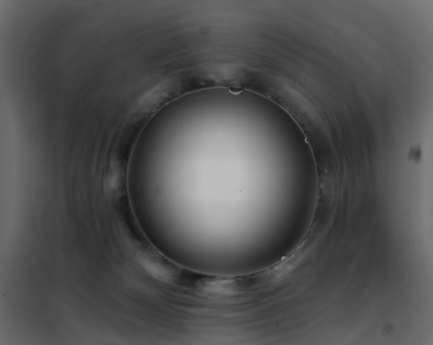 X0000102490132200808081338