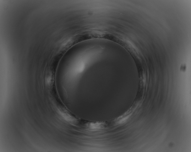 X0000102490134200808081338