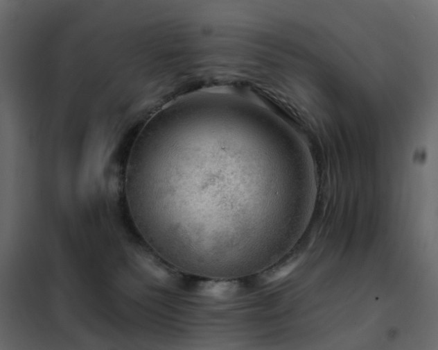 X0000102490135200808081338