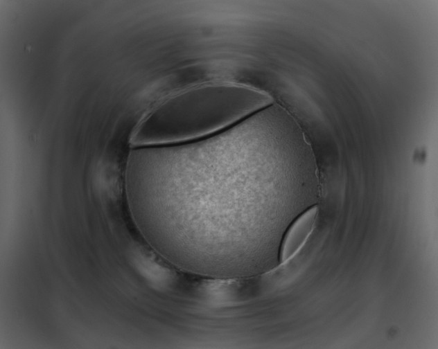X0000102490136200808081338