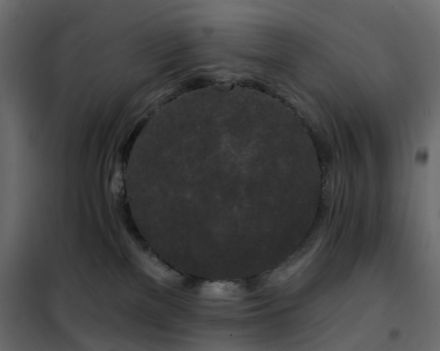 X0000102490137200808081338