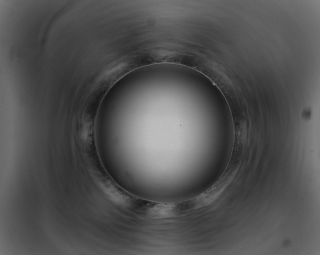 X0000102490138200808081338