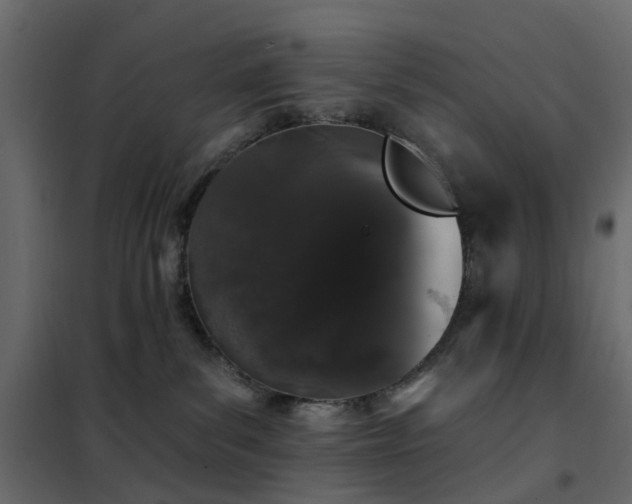 X0000102490139200808081338
